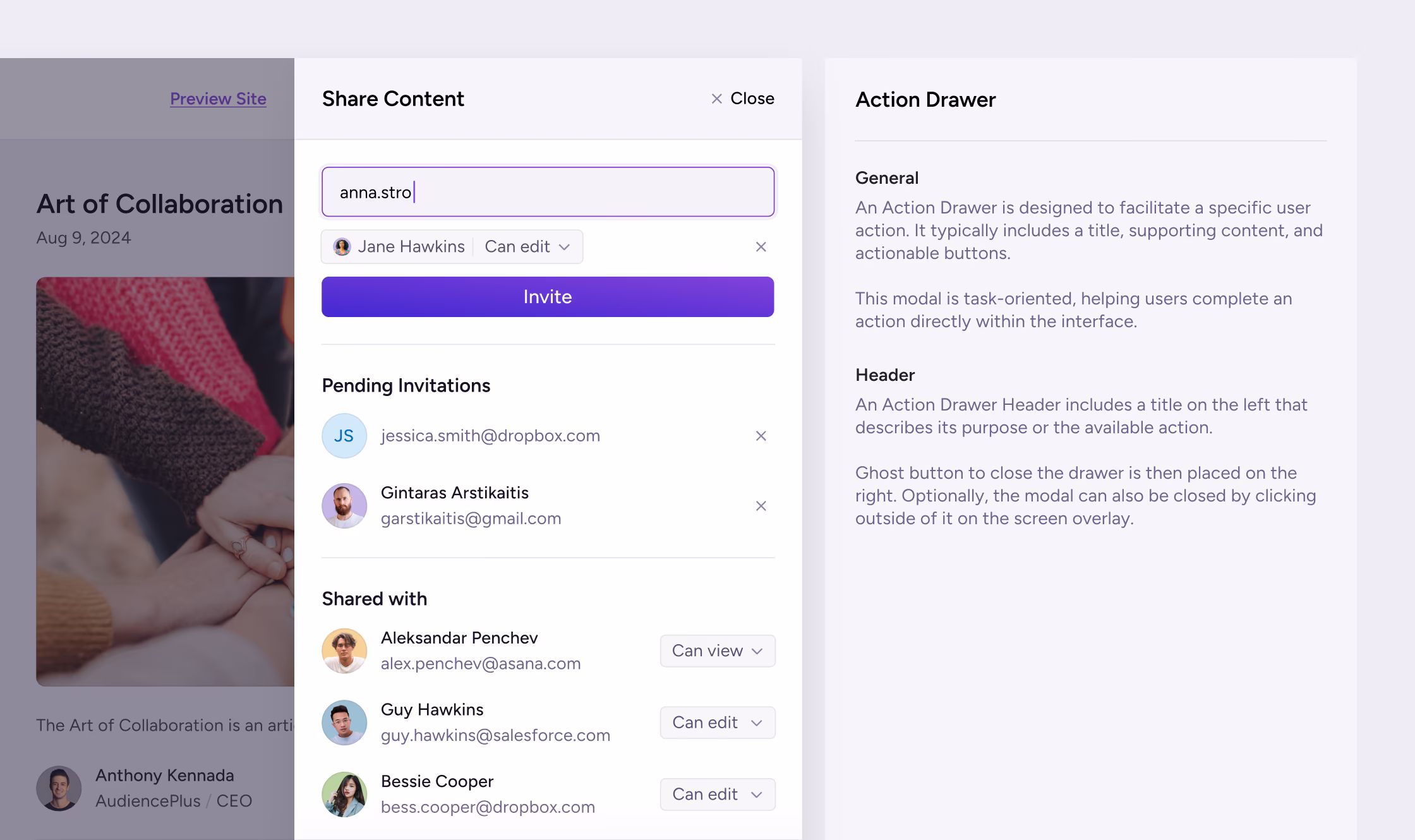 AudiencePlus drawer